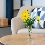 Bed & Breakfast Tinygreens